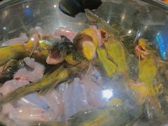 -石锅苗苗鱼(武汉首店)