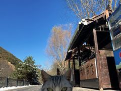 -少华山国家森林公园