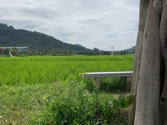 -艾米稻香小镇