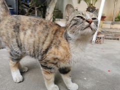 -吾里.春川家韩国料理(万达店)