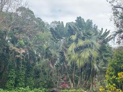 -海南热带野生动植物园