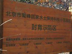 -北京鹫峰国家森林公园