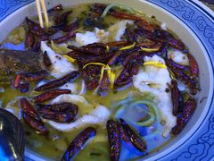 -鱼库·不仅是一家烤鱼店(车公庙店)