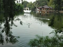 -深圳野生动物园