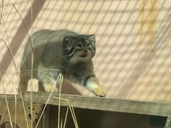 -青藏高原野生动物园