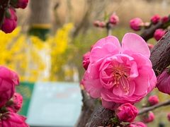 -大兴滨河森林公园