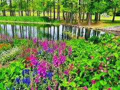 -上海共青森林公园