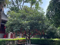 -洛阳周公庙博物馆