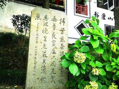 -严子陵钓台(富春江小三峡)