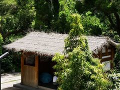-梅峰山地公园