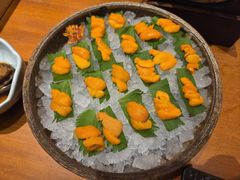 -月龍吟(朝龙汇店)