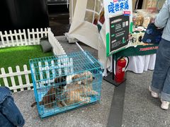 -上海来福士广场