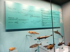 -天津自然博物馆