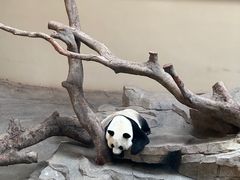 -宁波野生动物园