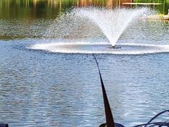 -重庆彩云湖湿地公园