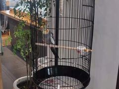 -阜昌典当行(阜成门店)