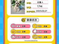 -BABIT巴比特宠物(MOMOPARK店)