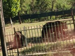 -秦皇岛野生动物园
