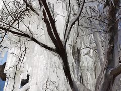 -九如山休闲旅游度假区