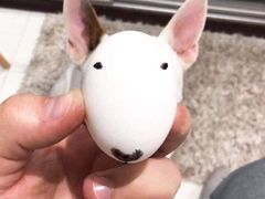 -东方既白(上海浦东国际机场)