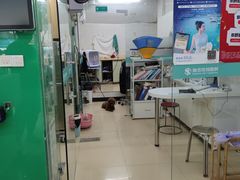 -瑞派动物医院·猫专科·至诚(江南中分院)