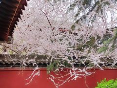 -西安市广仁寺