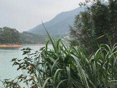 -广州市流溪河国家森林公园