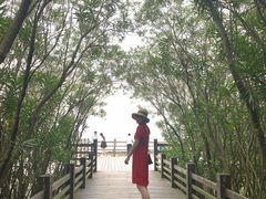 -吴淞炮台湾湿地森林公园烧烤区