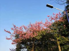 -华南师范大学(广州大学城校区)
