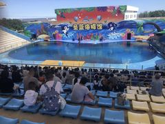 -北戴河圣蓝海洋公园