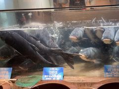 -上名堂·鱼头好吃(体育场路店)