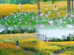 -洋湖国家湿地公园