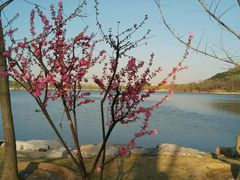 android_upload_pic-北京宽沟会议中心