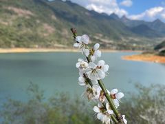 -广州市流溪河国家森林公园