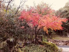 -苏州环秀晓筑养生度假村