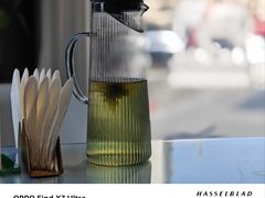 -大连湾旭日·家宴·海肠捞饭(马栏广场店)
