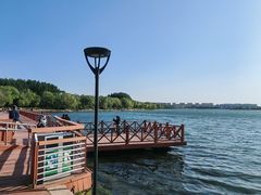 -丁香湖公园
