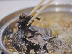 -太婆天府山珍酒楼(亚运村店)