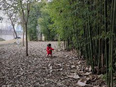 -眉山湿地公园(东坡区)