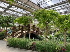 -南宫五洲植物乐园