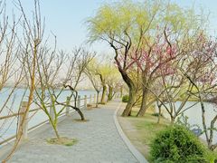 -无锡蠡湖国家湿地公园-蠡园