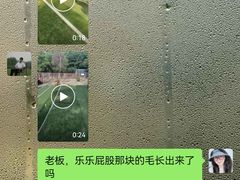 -宠物寄养训练学校