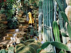 -国家植物园南园