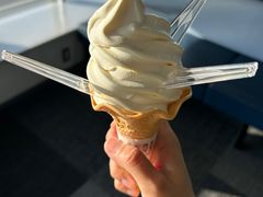 -中部国际机场