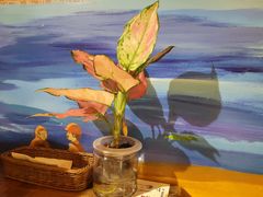 -盘炉forenza·云贵川融合小食堂 ( 钟楼中柳巷店)