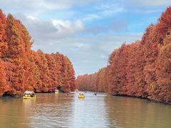 -上海海湾国家森林公园