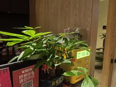 -聆耳·采耳·按摩·SPA(会展中心店)