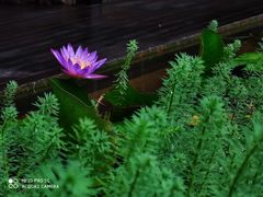 -箱美术馆私房菜(水晶郦城店)