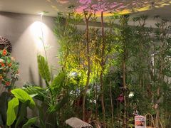 -施奈儿.洗头頭療.按摩SPA.采耳(上梅林店)