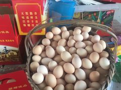 -马陆小张葡萄园农家乐